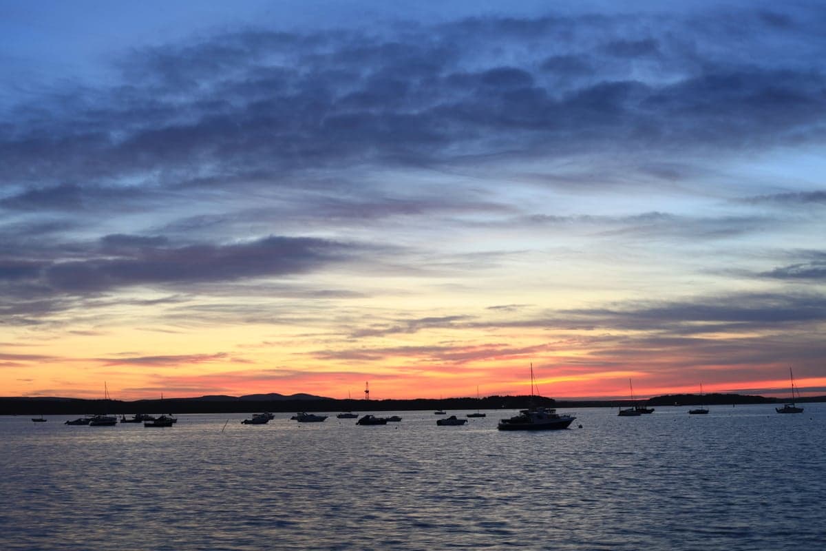 Harbor